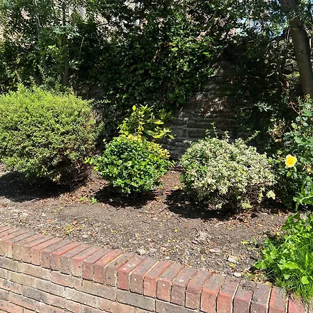 Waterloo Town House & Dublin