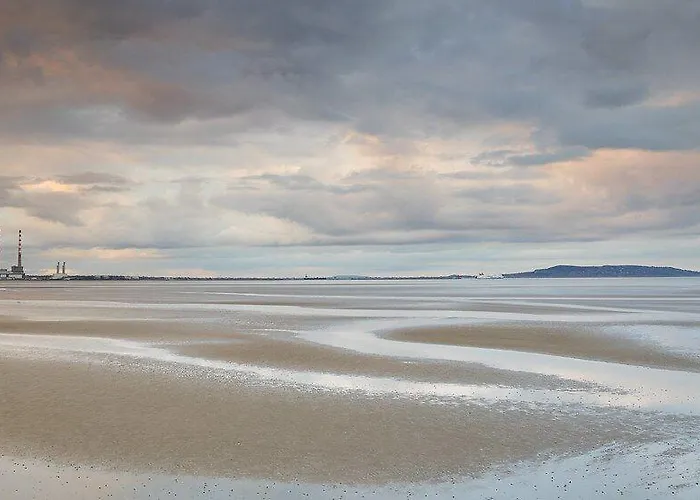 Waterloo Town House & 더블린