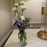 Waterloo Town House & 4* Dublin