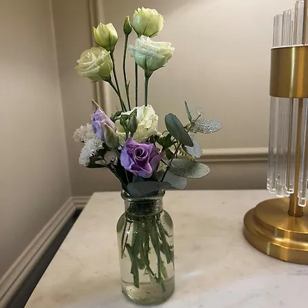 Waterloo Town House & 4* Δουβλίνο